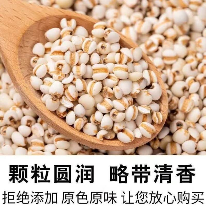 贵州薏仁米常年供应产地一手货源对接电商市场商超