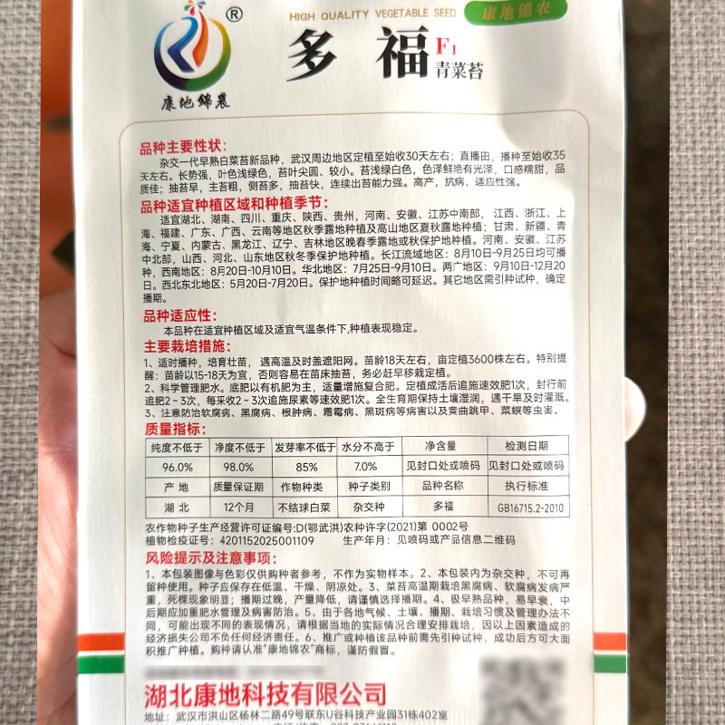多福白菜苔种子早熟优质耐热抗病苔色白绿苔多高产青菜苔种子