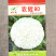 农辉80青梗松菜种子杂交早生耐热耐湿花球雪白松大花椰菜种