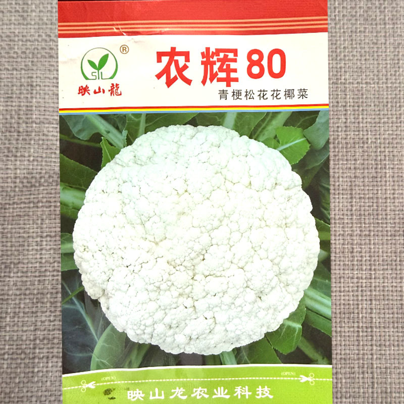 农辉80青梗松菜种子杂交早生耐热耐湿花球雪白松大花椰菜种