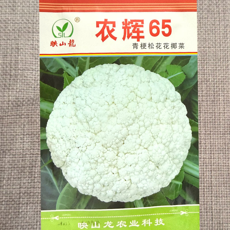 农辉65青梗松花菜种子耐热耐湿花球雪白松大甜脆花椰菜种子