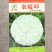 农辉65青梗松花菜种子耐热耐湿花球雪白松大甜脆花椰菜种子