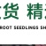 产地莲藕苗种可食用脆藕粉藕藕苗种根种子池塘田地大型菜莲