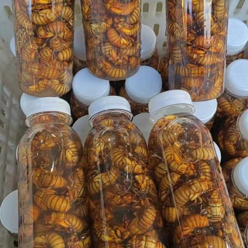 河北金蝉可对接电商一件代发，社区团购，批发，欢迎咨询