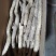 2000亩生态山药，海拔2100米