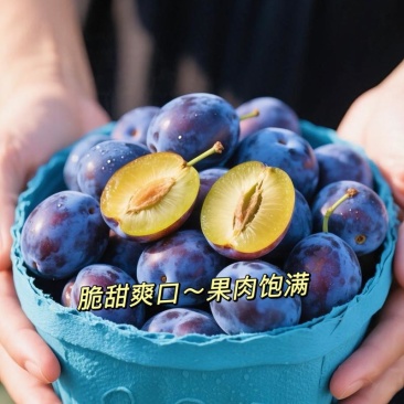 精品蓝西梅产地直发全国发货一手货源可视频看货