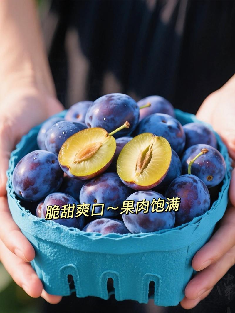精品蓝西梅产地直发全国发货一手货源可视频看货