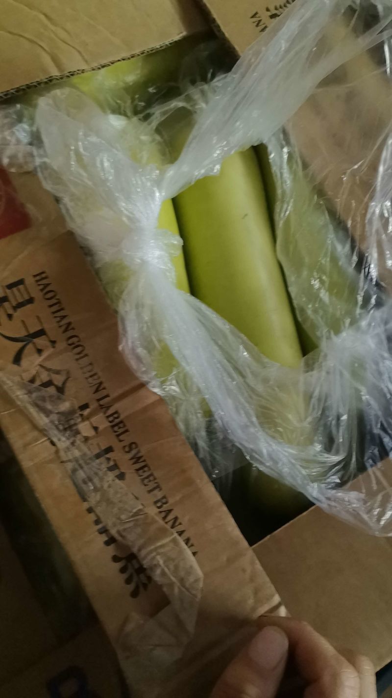 瓠瓜新鲜现摘瓠瓜价格实惠产地直供实力代发全国商超