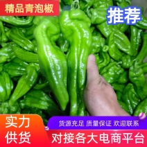 青泡椒江苏301泡椒青辣椒货源稳定，代收代发全国