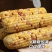 甜糯玉米，精品玉米自家种植品种齐全品质把控售后有保障