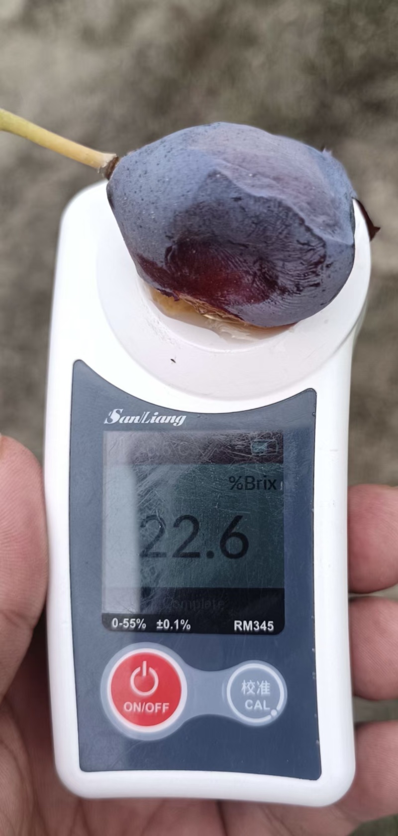 新疆西梅产地直发对接电商市场商超可视频看货