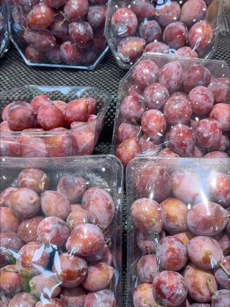 新疆西梅产地直发对接电商市场商超可视频看货
