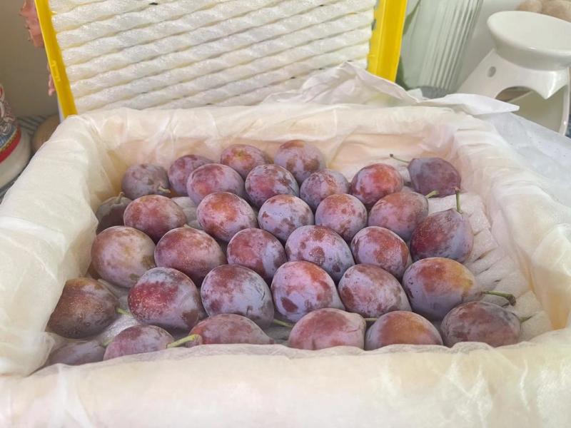 优选法兰西梅产地直发保质保量对接电商市场可视频看货