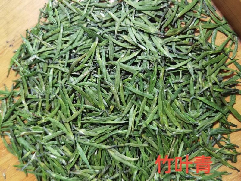 四川竹叶青茶厂家直发高山生态竹叶青茶常年供应