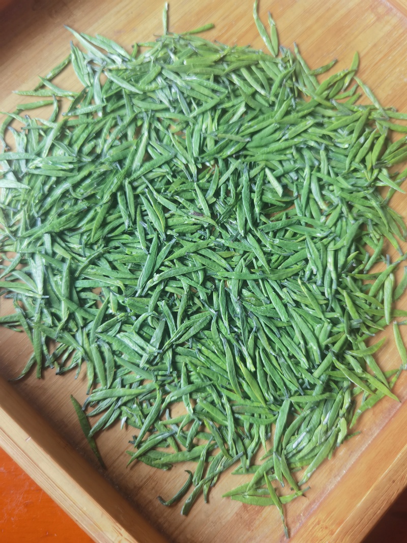 峨眉山高山（春茶竹叶青茶）厂家直发常年供应