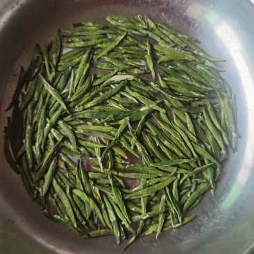 高山竹叶青茶：明前单芽，高山茶园采摘