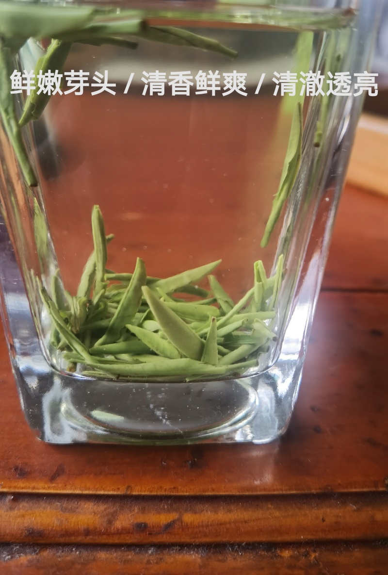 高山竹叶青茶：明前单芽，高山茶园采摘