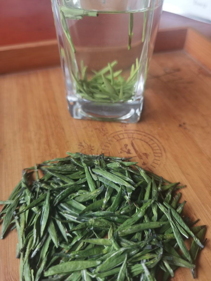 高山竹叶青茶：明前单芽，高山茶园采摘