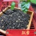 浓香型茉莉花茶（鲜灵花香，鲜爽回甘）常年供应
