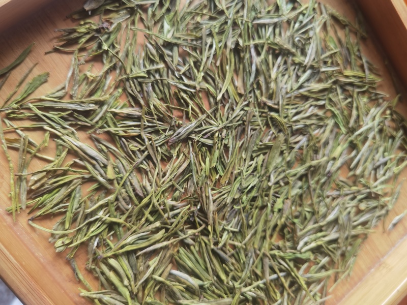 高山黄金茶（高氨基酸鲜爽绿茶）