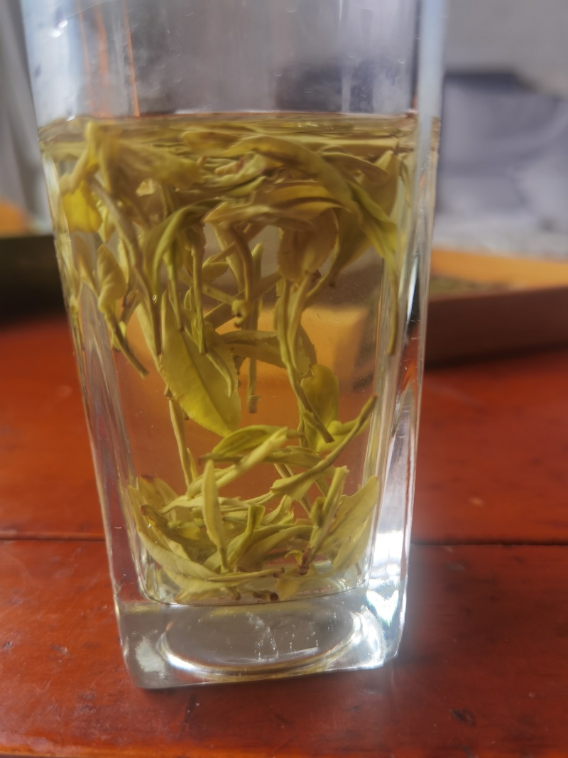 高山黄金茶（高氨基酸鲜爽绿茶）