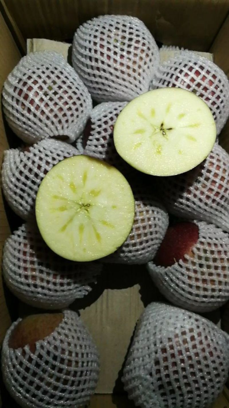 精品嘎啦苹果，大量新鲜现货速发，保质保量欢迎选购