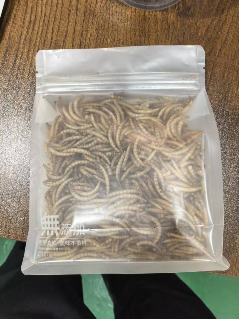 黄粉虫一件代发