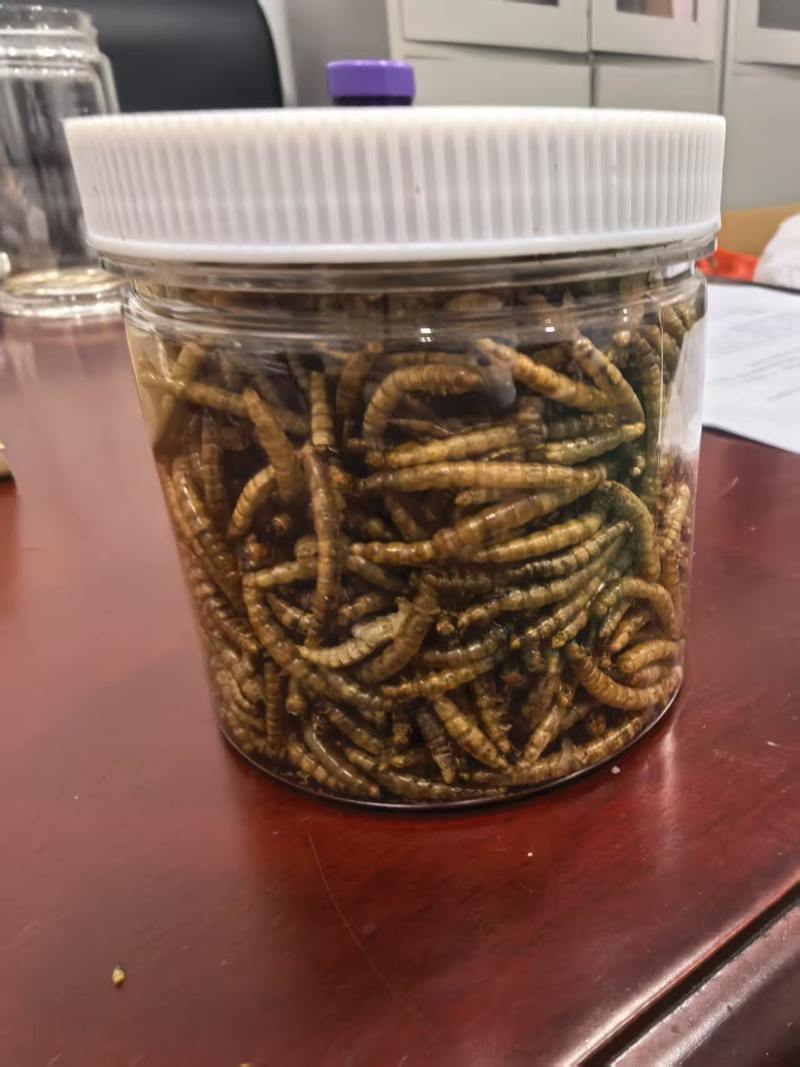黄粉虫一件代发