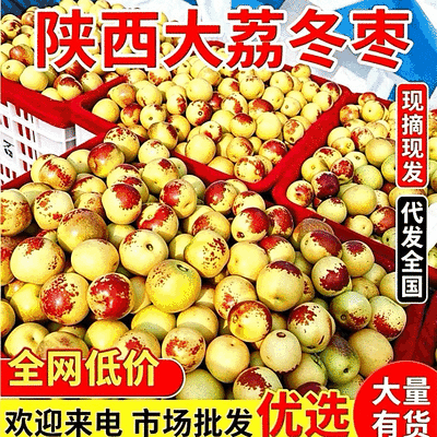 《冬枣》陕西冬枣/陕西鲜枣/原产地直供/现摘现卖全国发货