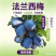 【好评超多】甘肃天水法兰西梅/保质保量/对接全国电商平台