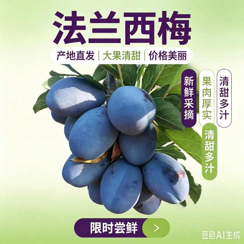 【好评超多】甘肃天水法兰西梅/保质保量/对接全国电商平台