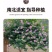 木槿花苗可食用重瓣木槿花庭院棒棒糖木槿大苗阳台盆栽耐寒树