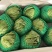 精品生菜球本地生菜球一手货源产地直发视频看货
