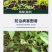 瀚生炼苗30%精甲霜灵·噁霉灵