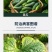 瀚生班典35%苯醚甲环唑·咪鲜胺