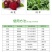 冠龙美蓝甲50%福美双白粉病霜霉病白腐病稻瘟病杀菌剂
