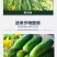 泰生金叶子35%苯醚甲环唑·咪鲜胺