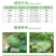 巴斯夫成标80%硫磺WG疮痂病白粉病褐斑病杀菌剂