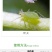 曹达5%啶虫脒