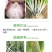曹达葱蒜五宝疫病锈病白粉病叶枯病杀菌剂