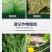 诺普信金发利722克/升霜霉威盐酸盐霜霉病杀菌剂