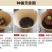 朱顶红种球多年生植物好养易繁殖四季大土朱盆栽阳台庭院花卉