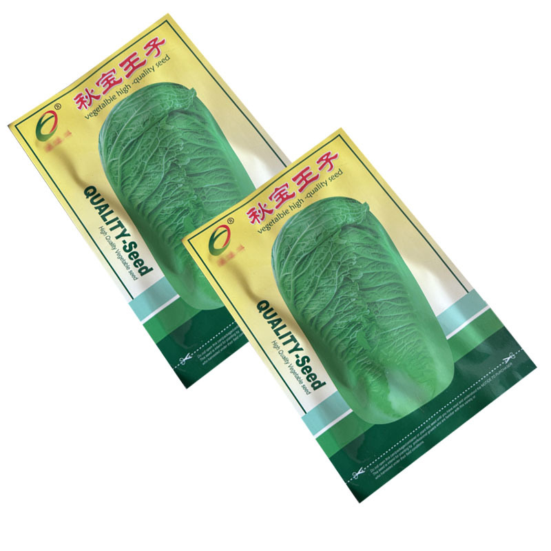 秋宝王子大白菜种子10g结球紧实叶深绿色圆简形