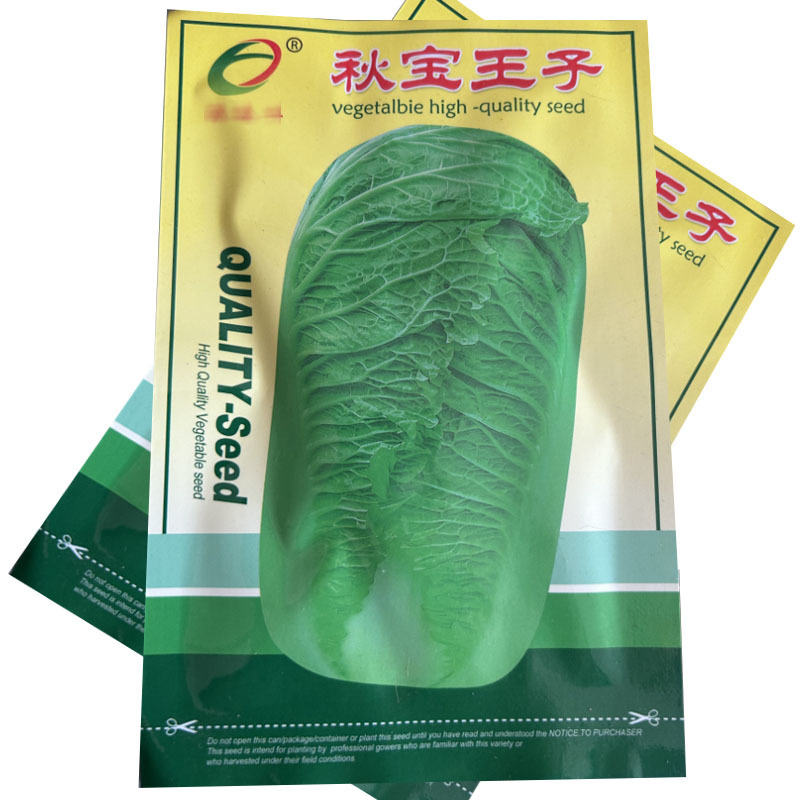 秋宝王子大白菜种子10g结球紧实叶深绿色圆简形