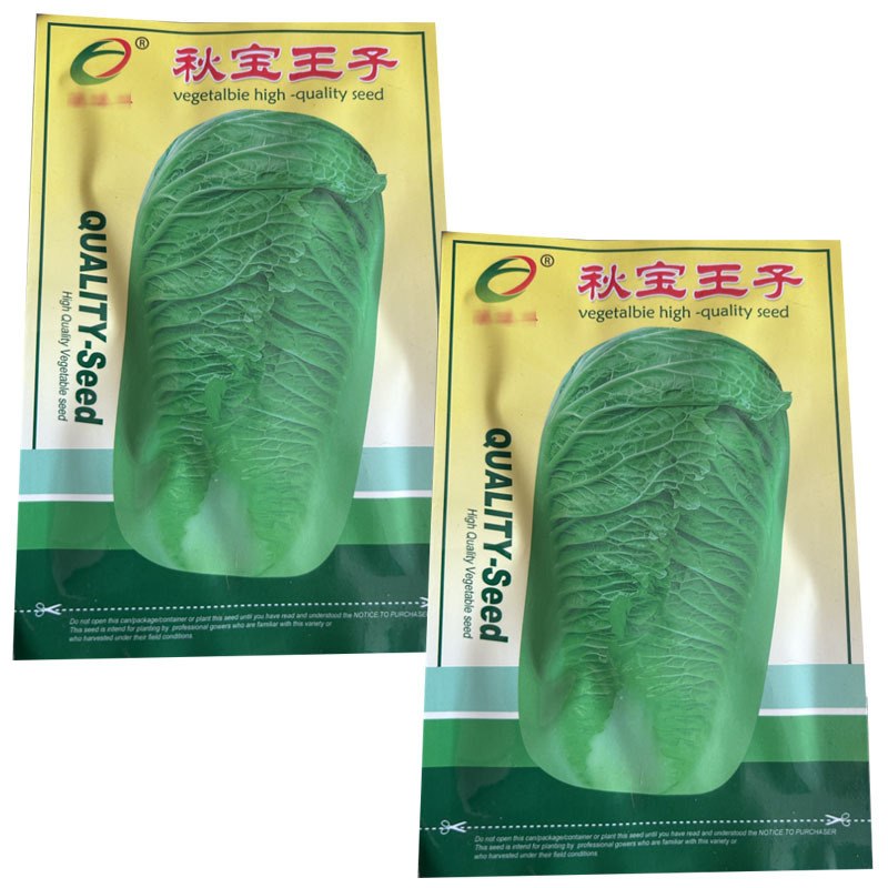 秋宝王子大白菜种子10g结球紧实叶深绿色圆简形