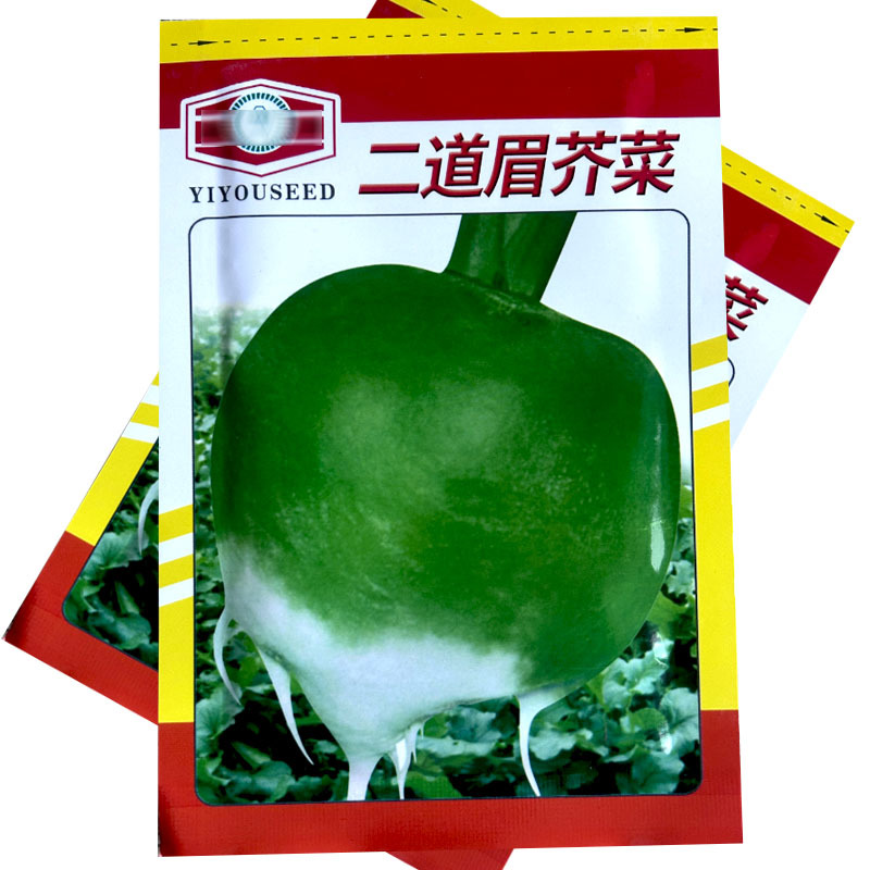 二道眉芥菜种子疙瘩菜大头菜春秋种植大头菜基地型