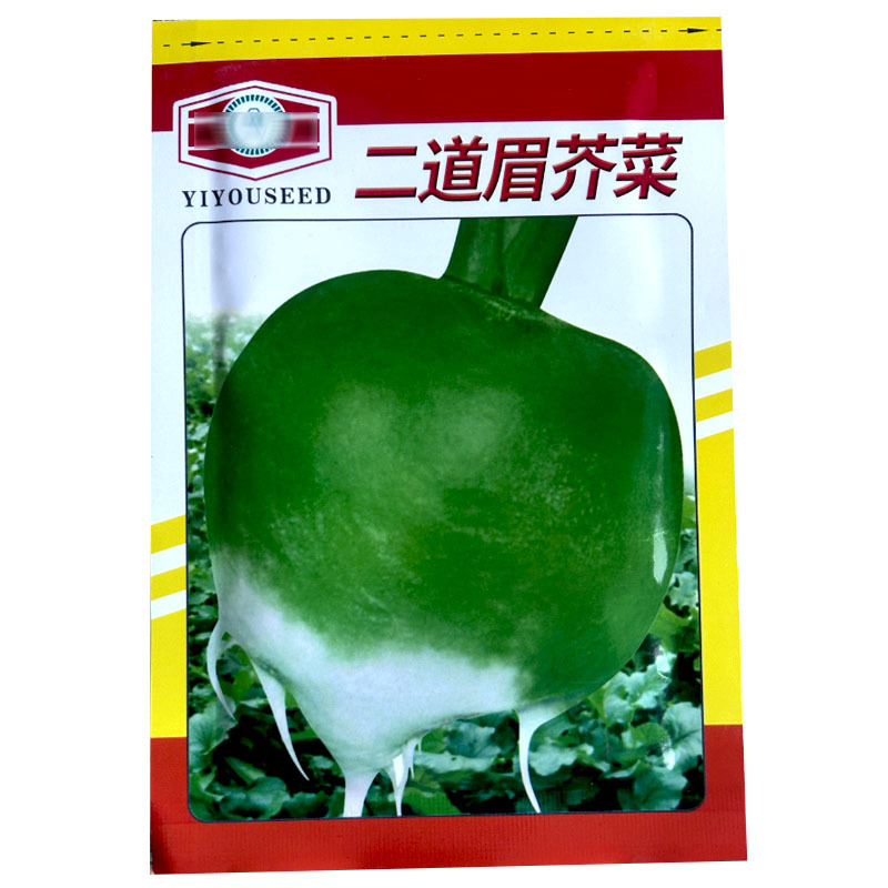 二道眉芥菜种子疙瘩菜大头菜春秋种植大头菜基地型