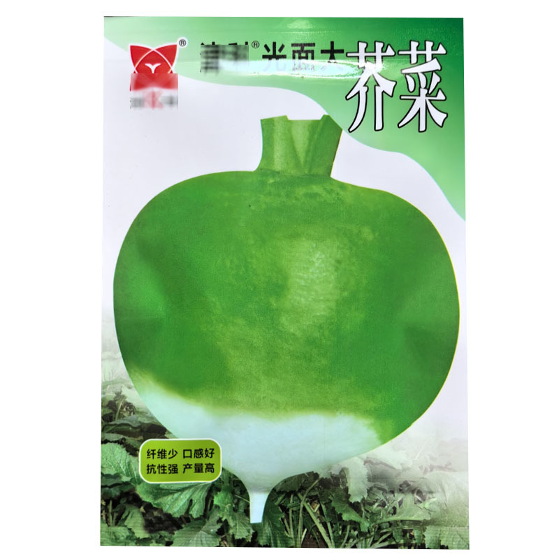 光面大芥菜种子大疙瘩菜大头菜表皮光滑大田基地型
