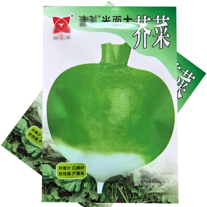 光面大芥菜种子大疙瘩菜大头菜表皮光滑大田基地型