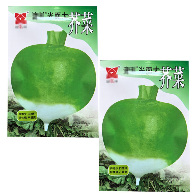 光面大芥菜种子大疙瘩菜大头菜表皮光滑大田基地型
